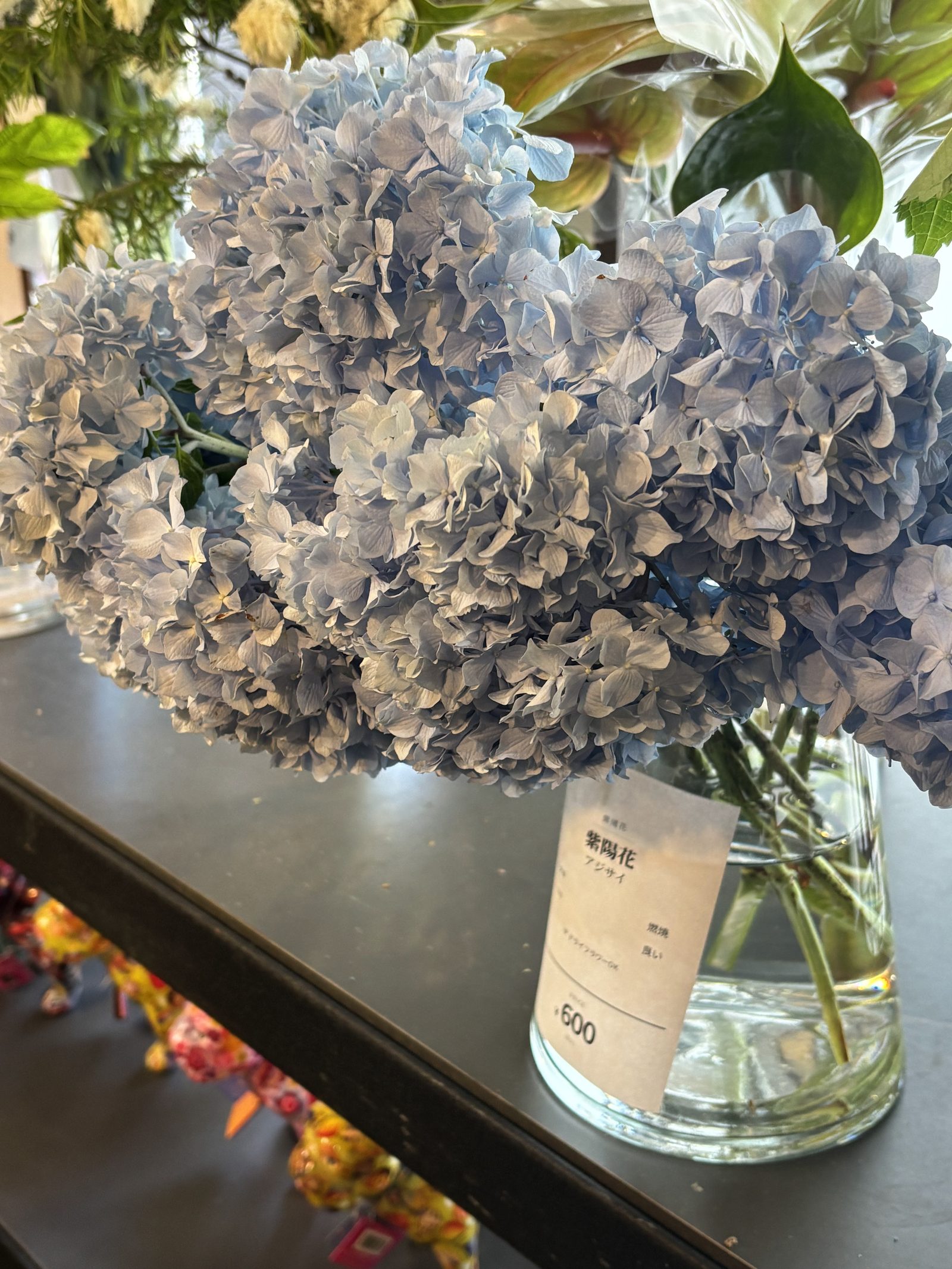 高松・白坂花店の店頭に並んだ水色の紫陽花（あじさい）
