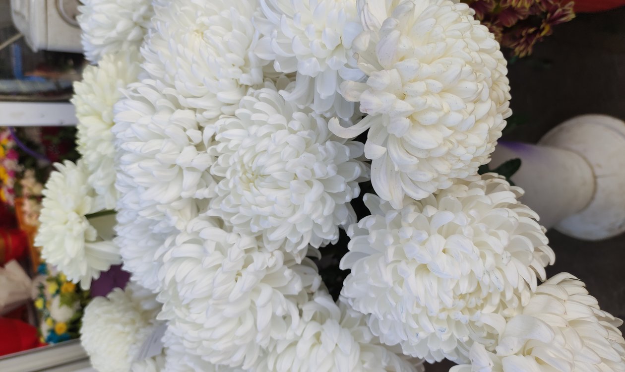 秋のお彼岸のお供え花