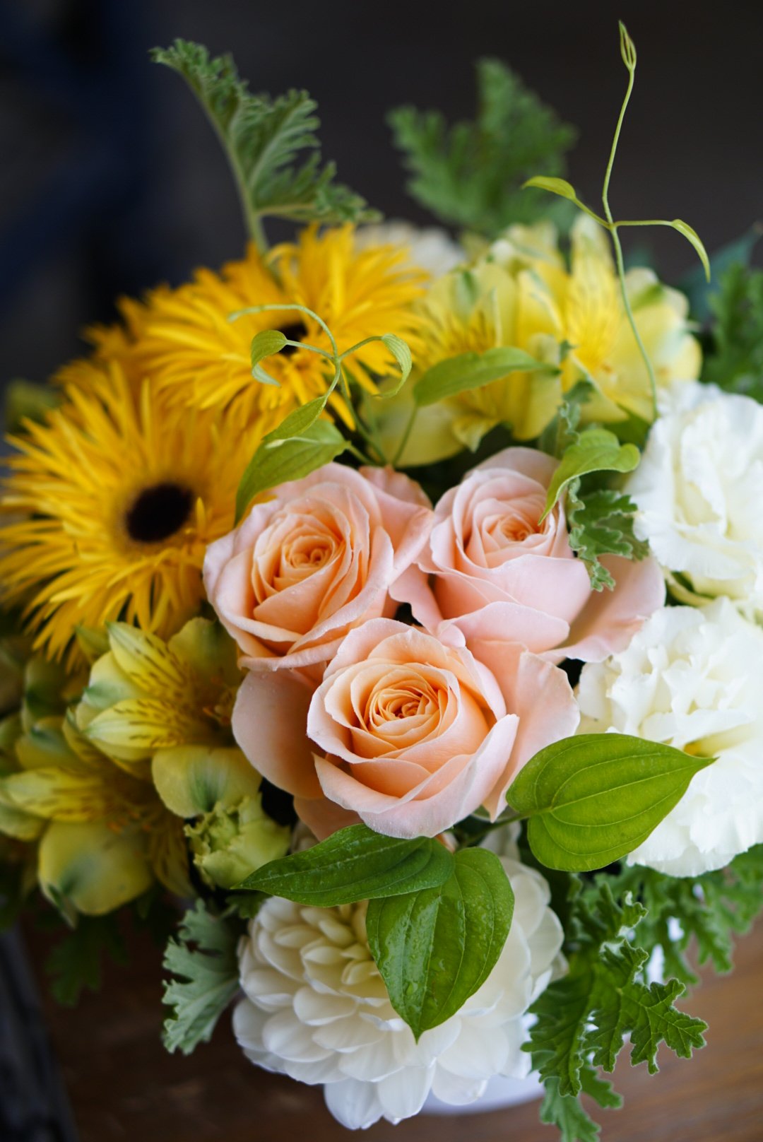 gerbera & rose, bright
